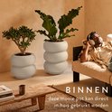 Twee grijze, gestapelde potten met planten. Man luistert naar muziek op bank.