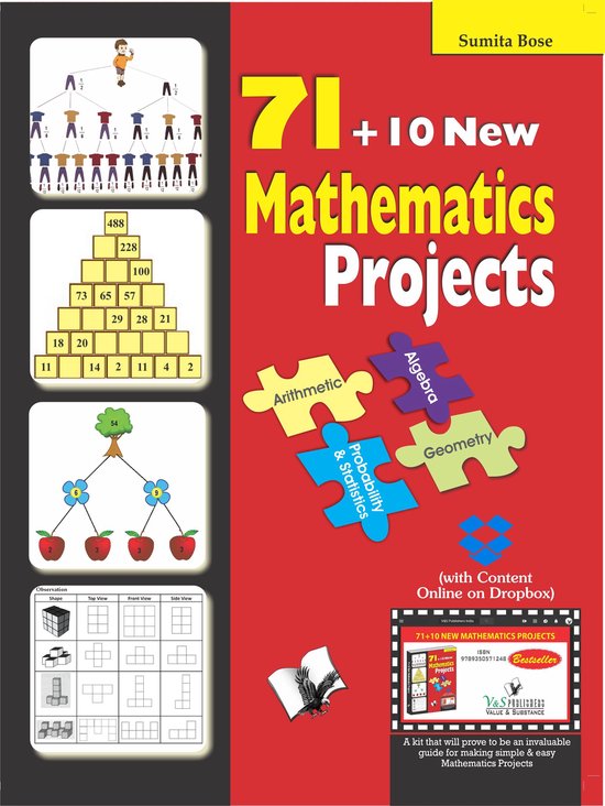 71+10 New Mathematics Projects (With Online Content on Dropb ... - cover