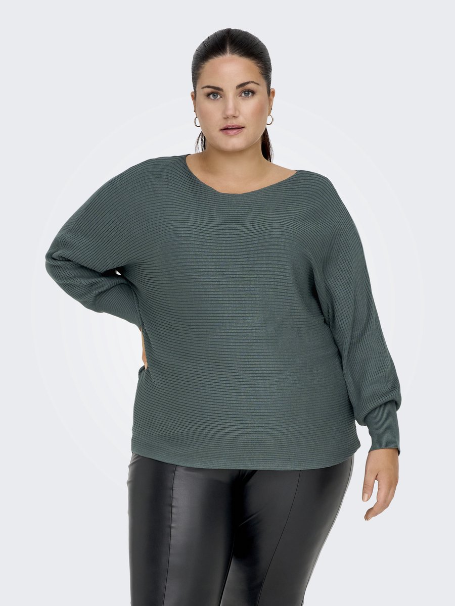ONLY CARMAKOMA - CARNEW ADALINE LS PULLOVER KNT NOOS - Dames - Gebreide truien