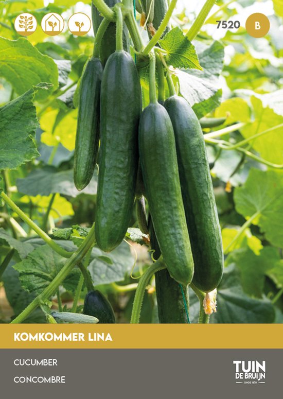 Komkommer Zaden Lina – Hoge Opbrengst – Sterke Groei – Groentezaden voor Moestuin & Kas | Tuin de Bruijn