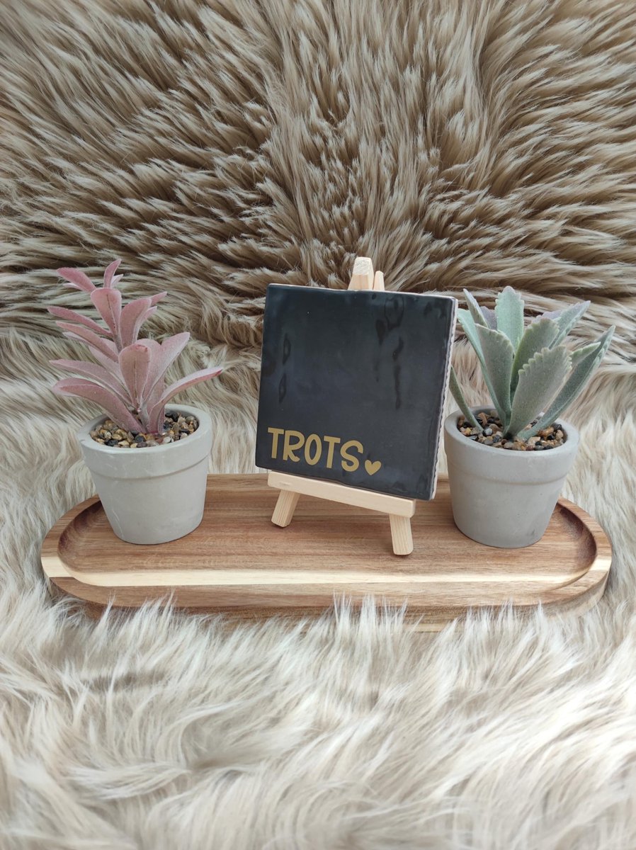 Robuust Wenstegeltje – Hip trendy tegeltje – Goud - Zwart - Trots - cadeau - gift - verjaardag - zomaar - gepersonaliseerd cadeautje - decoratie - leuk - decoratie voor woonkamer - spreuktegel - kado – Trendy nu