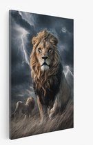75 cm x 100 cm