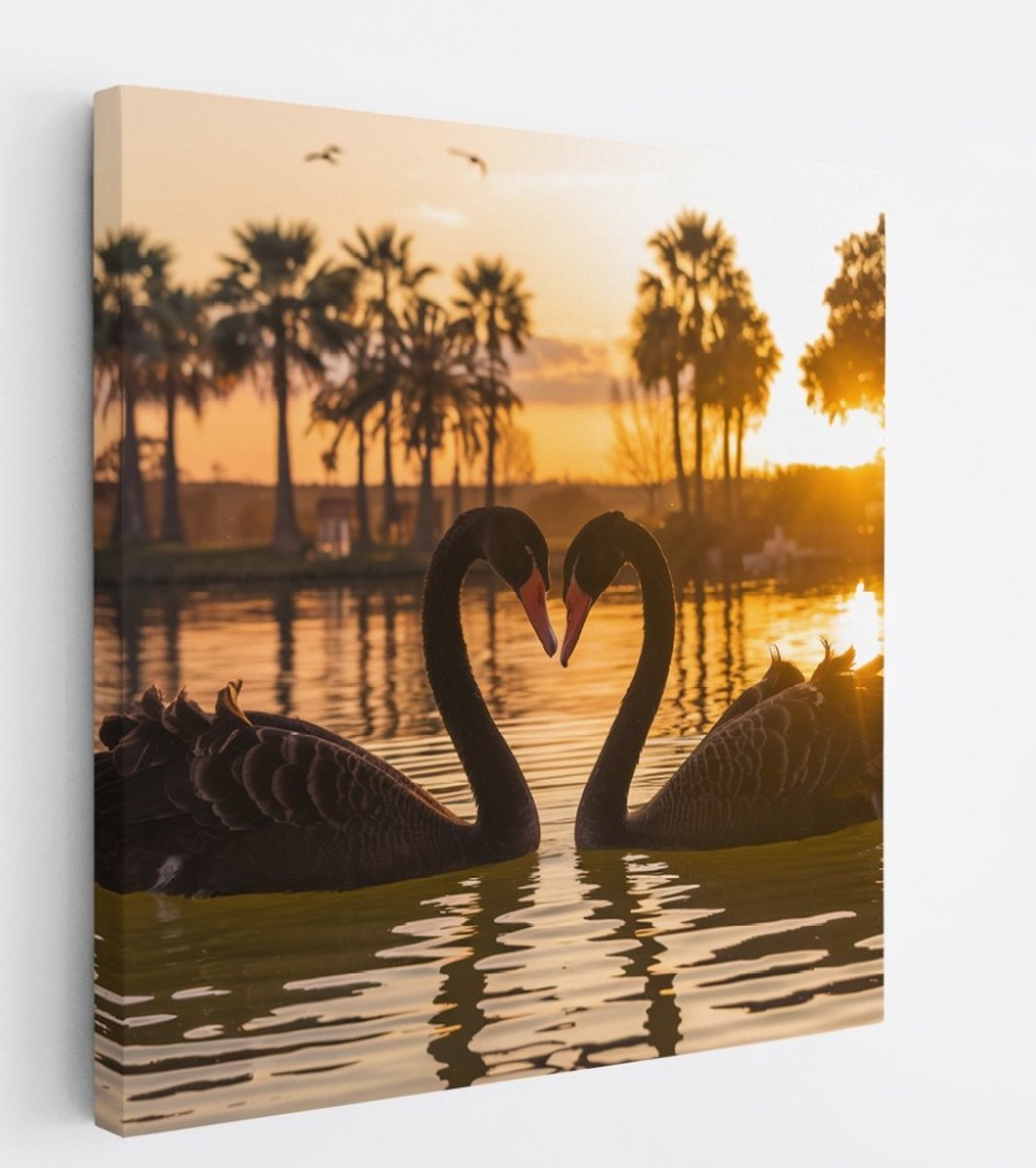 Saammp Canvas Schilderij - 2 Jonge Zwanen in zonsondergang - Natuur - Dieren - 100x100 - Foto op canvas - Wanddecoratie - Muurdecoratie Woonkamer - Slaapkamer decoratie - Canvas Print Multicolor