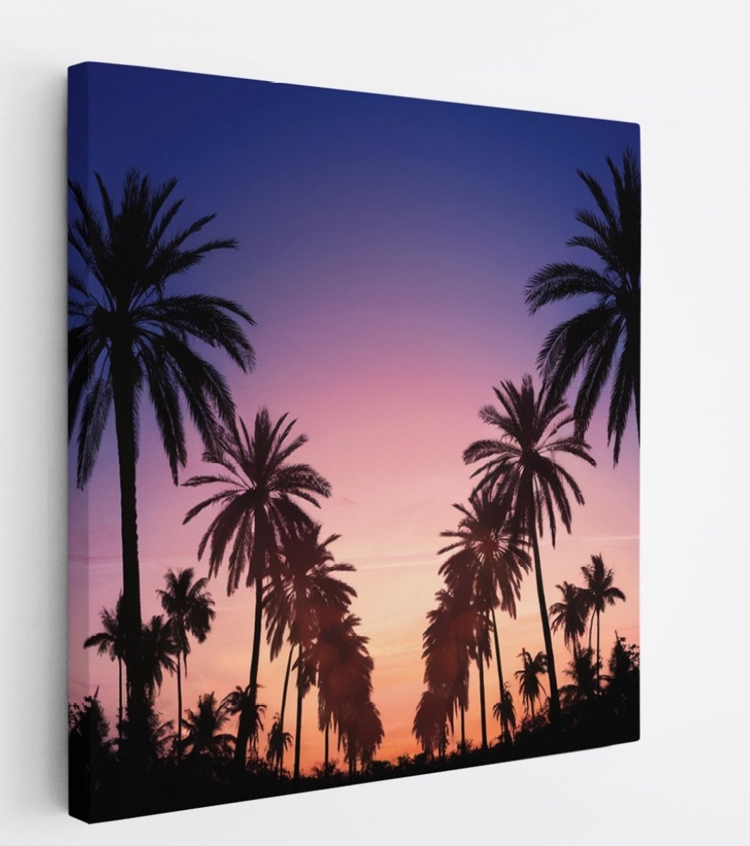 Saammp Canvas Schilderij - Palmbomen met zonsondergang - Natuur - 30x30 - Foto op canvas - Wanddecoratie - Muurdecoratie Woonkamer - Slaapkamer decoratie - Canvas Print Multicolor