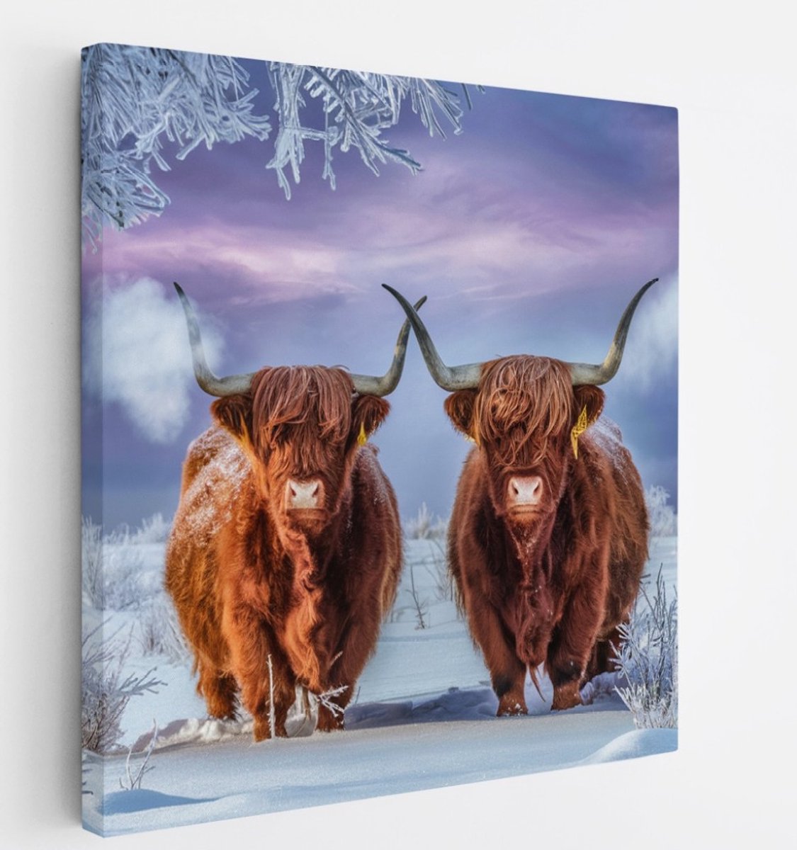 Saammp Canvas Schilderij Schotse Hooglander Koe in de mist - Dieren - Natuur - 20x20 - Foto op canvas - Wanddecoratie - muurdecoratie Woonkamer - Slaapkamer decoratie - Canvas Print Multicolor