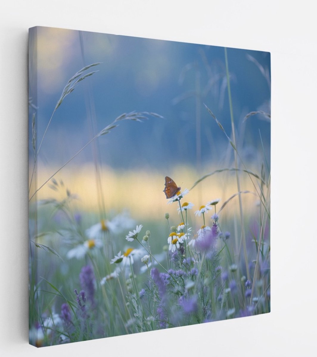 Saammp Canvas Schilderij - Vlinder - kleurrijk bloemenveld - Dieren - Natuur - 100x100 - Foto op canvas - Wanddecoratie - muurdecoratie Woonkamer - Slaapkamer decoratie - Canvas Print Multicolor