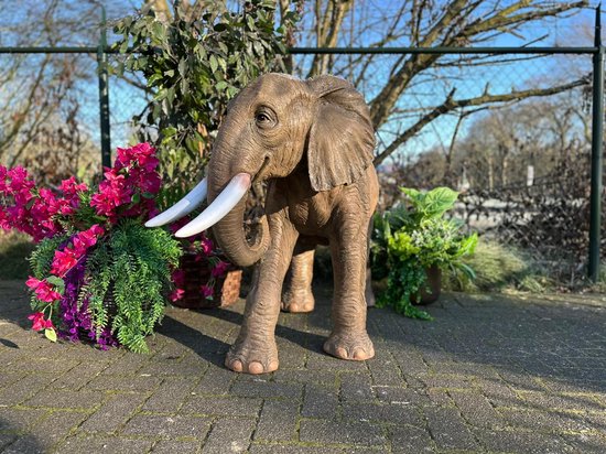 Goodyz- Jungle Dieren - Olifant - Levensechte Olifant - 160cm lang - orginele kleur.