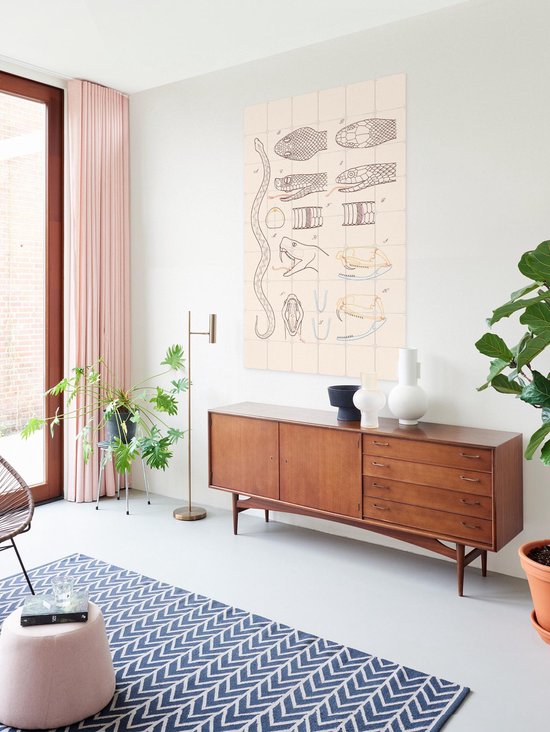 IXXI Serpent - Anatomie, Aster Edition - 100 x 140 cm - Gratis ophangtool - Grote wanddecoratie en posters - Technische Tekening, Illustraties, Line