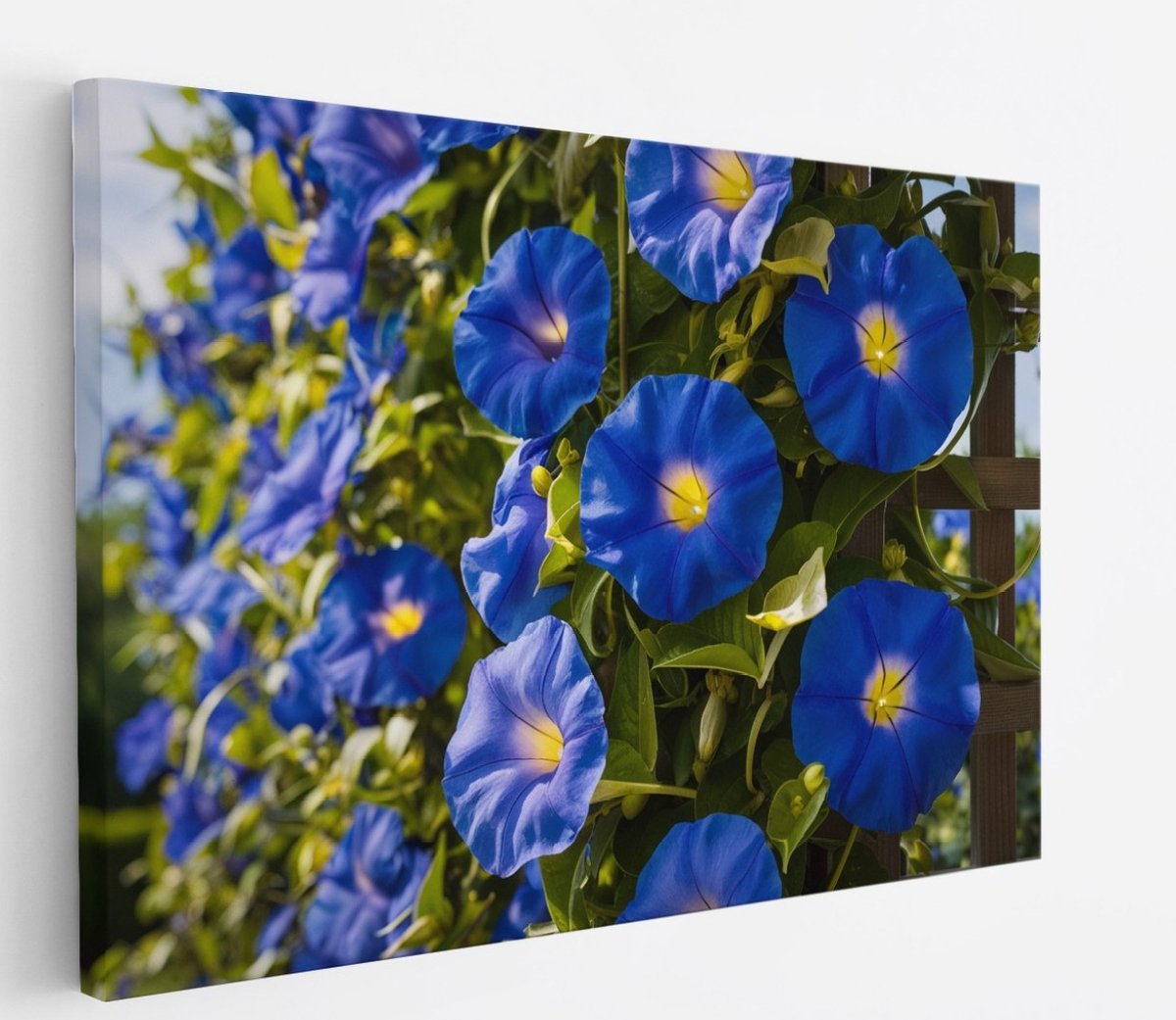 Saammp Canvas Schilderij - Blauwe Winde Bloemen - Natuur - Abstract - 60x40 - Foto op canvas - Wanddecoratie - Muurdecoratie Woonkamer - Kantoor Decoratie Multicolor