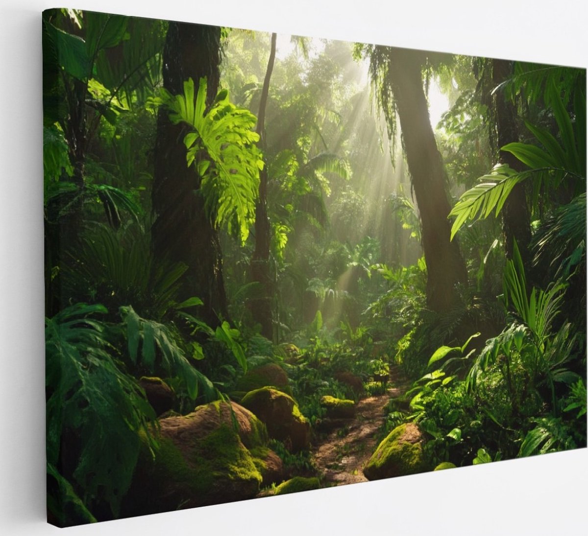 Saammp Canvas Schilderij - Natuur - Jungle met zon - landschap - 30x20 - Foto op canvas - Wanddecoratie - Muurdecoratie Woonkamer - Slaapkamer decoratie - Canvas Print Multicolor