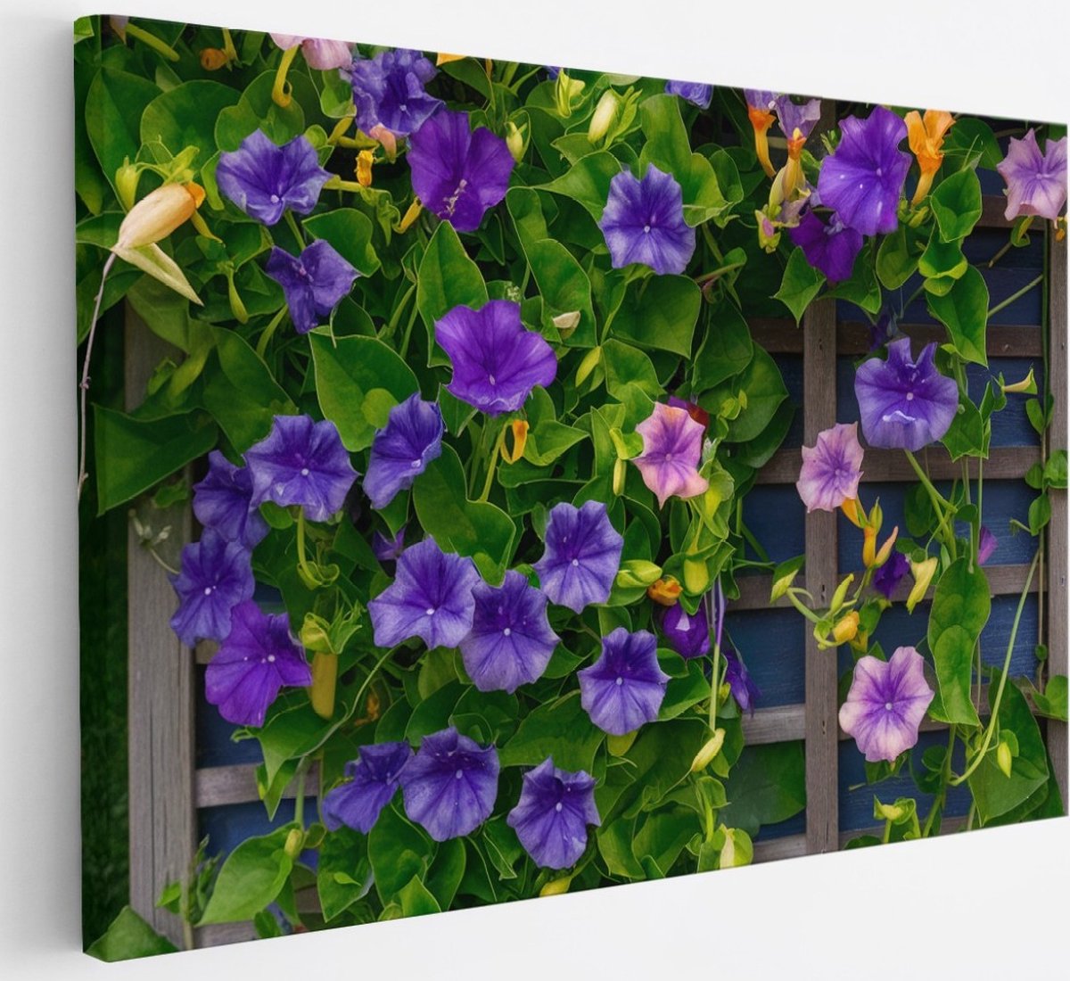 Saammp Canvas Schilderij - Klimop en Bloemen - Natuur - Abstract - 30x20 - Foto op canvas - Wanddecoratie - Muurdecoratie Woonkamer - Kantoor Decoratie Multicolor