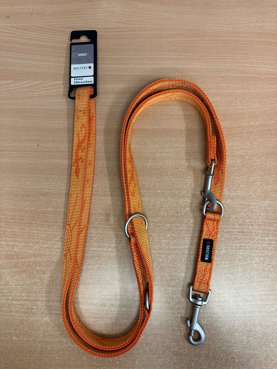 Wolters Professional Hundeführleine – Größe L, 200 Cm X 20 Mm | Aus Robustem Nylon, Aqua | Für Mittlere Bis Große Hunde