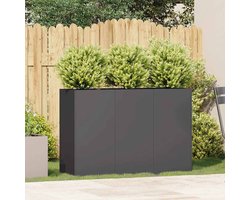 vidaXL - Plantenbak - 120x40x80 - cm - koudgewalst - staal - zwart