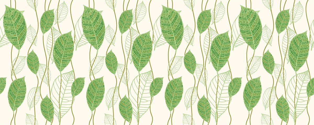 Privacy raamfolie - GROENE BLADEREN - Stickers voor ramen en douchedeuren - 40x100cm