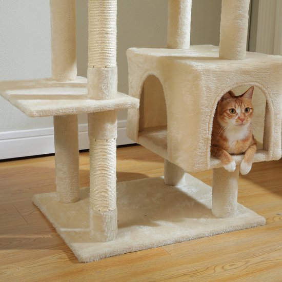 Oranje kat met witte poten en buik, kijkend vanuit een ronde opening in een beige kattentoren.