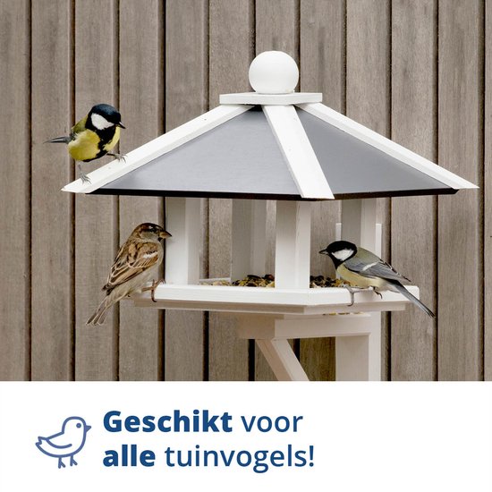 Drie vogels (twee pimpelmezen en een huismus) op een witte houten voederhuis met een grijze dak.