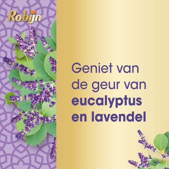 Groene bladeren en paarse lavendelbloemen.