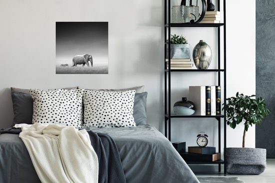 Poster Éléphant - Animaux - Paysage - Zwart et Blanc - Zèbre - 50x50 cm