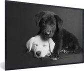 Fotolijst incl. Poster - Honden - Puppy - Zwart - Wit - Dieren - 90x60 cm - Posterlijst