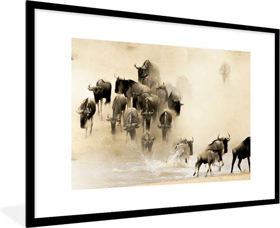 Poster - Kader - Bizon - Dieren - Rivier - Landschap - 90x60 cm - Posterlijst - Wanddecoratie