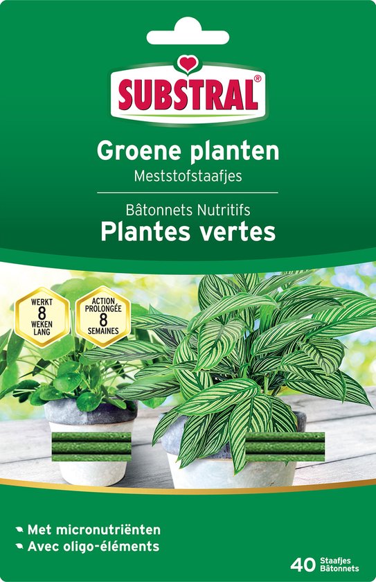 Meststofstaafjes voor groene planten - set van 40 stuks