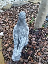duif beton beeld duiven 24cm hoog grijs vogel tuinbeeld