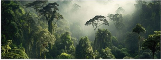 Poster Glanzend – Bomen - Bos - Groen - Mist - 90x30 cm Foto op Posterpapier met Glanzende Afwerking