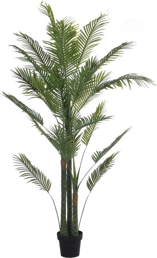 OZAIA Kunstpalmboom met pot - H190 - COCONUT L 80 cm x H 190 cm x D 80 cm