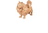 Housevitamin Gouden Pomeranian 23x10x18 cm - Interieuraccessoire - Limited Edition - Uniek design - Huisdecoratie