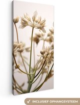 Canvas Schilderij Droogbloemen - Beige - Wit - Planten - 40x80 cm - Wanddecoratie