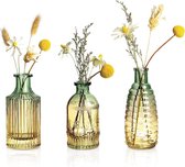 Set van 3 vintage kleine glazen vazen voor tafeldecoratie - kleurverloop desktop bloemenvaas - Knoopvaas met reliëf voor bruiloften, feesten, evenementen decoratie arrangementen
