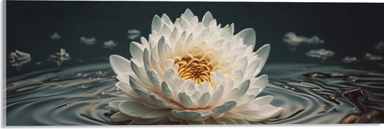 Acrylglas - Witte Waterlelie Drijvend op Water met Donkere Achtergrond en Veel Bladeren - Bloemen - 60x20 cm Foto op Acrylglas (Met Ophangsysteem)