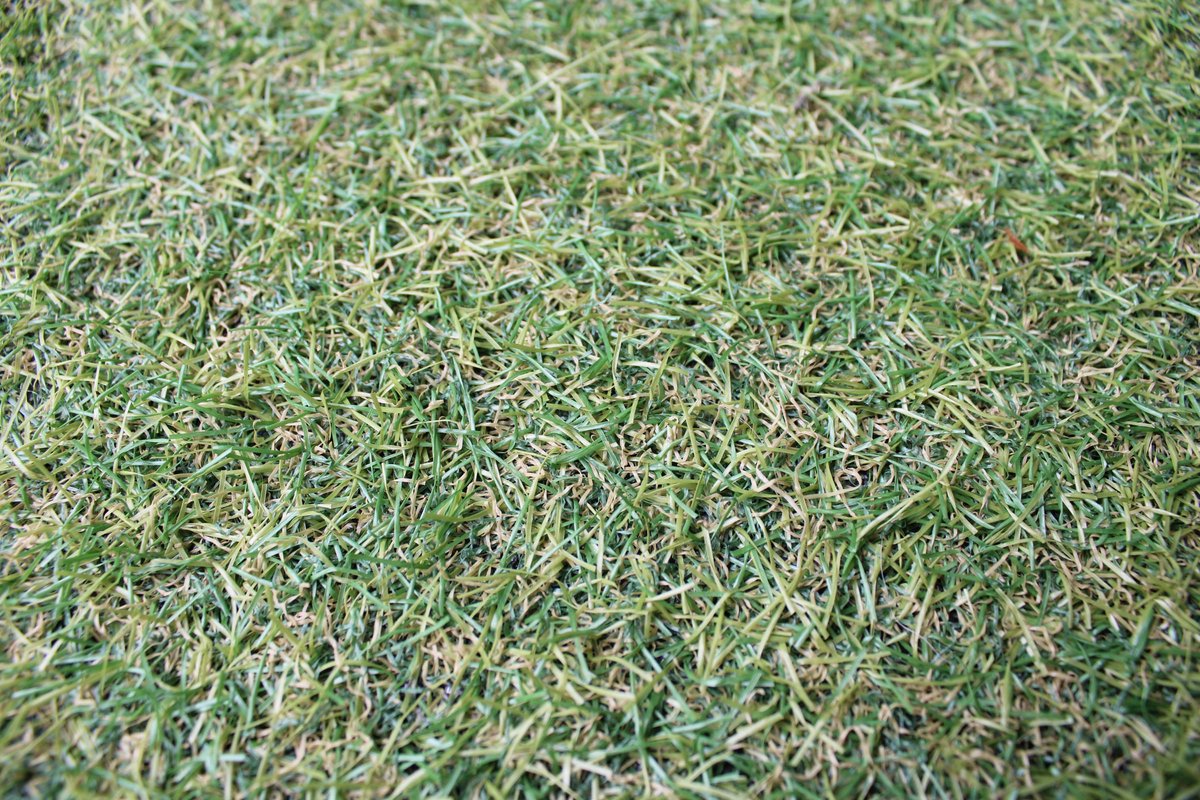 Nibashop kunstgras - 20mm - 1x1m² - hoogwaardig kunstgras - uv bestendig - voor binnen, buiten en balkon - grastapijt