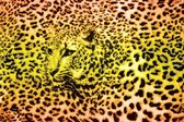 Fotobehang - Vlies Behang - Panterprint - Luipaardprint - Panter - Luipaard - 254 x 184 cm