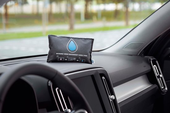 Absorbeur d'humidité Bison pour la voiture - réutilisable
