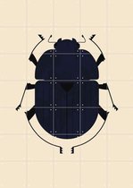 IXXI The Dung Beetle - Wanddecoratie - Dieren en insecten - 100 x 140 cm
