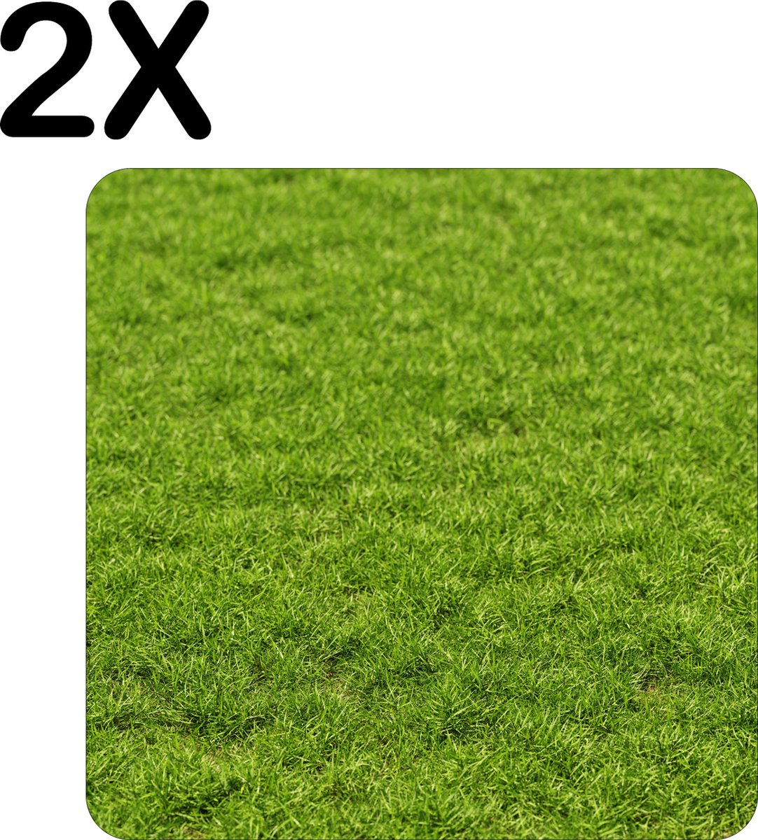 BWK Flexibele Placemat - Groen Gras - Set van 2 Placemats - 50x50 cm - PVC Doek - Afneembaar