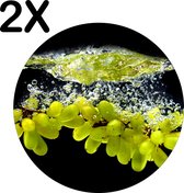 BWK Stevige Ronde Placemat - Druiven in het Water met Zwarte Achtergrond - Set van 2 Placemats - 50x50 cm - 1 mm dik Polystyreen - Afneembaar