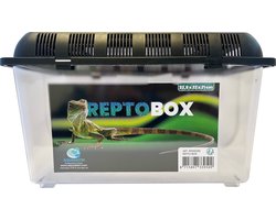 Repto Box - Transportbox - 32.5x22x21cm