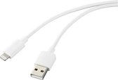 Câble Renkforce Apple iPad/ iPhone/iPod [1x USB 2.0 connecteur A - 1x Apple Dock Lightning Plug] 1,00 m Wit