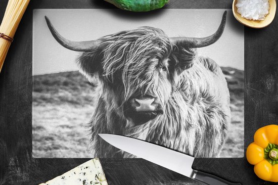 Planche à découper en Verres - 39x28 - Scottish Highlander - Nature - Vache - Zwart - Wit - Planches à découper en Glas