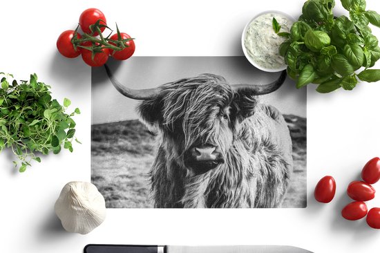 Planche à découper en Verres - 28x20 - Scottish Highlander - Nature - Vache - Zwart - Wit - Planches à découper en Glas