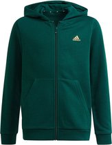 Adidas sportswear Bl Sweater Met Ritssluiting Collegiate Green / Semi Solar Gold - 3-4 jaar - Kinderen