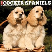 Amerikaanse Cocker Spaniel Kalender 2024