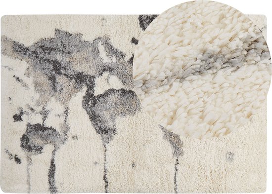 SEVAN - Shaggy tapijt - Lichtbeige/Grijs - 200x300 cm - Polypropyleen