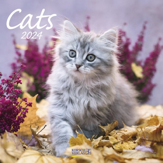 QUOTIDIEN KITTY! 2024 (Bureau Quotidien Calendrier Chat Version