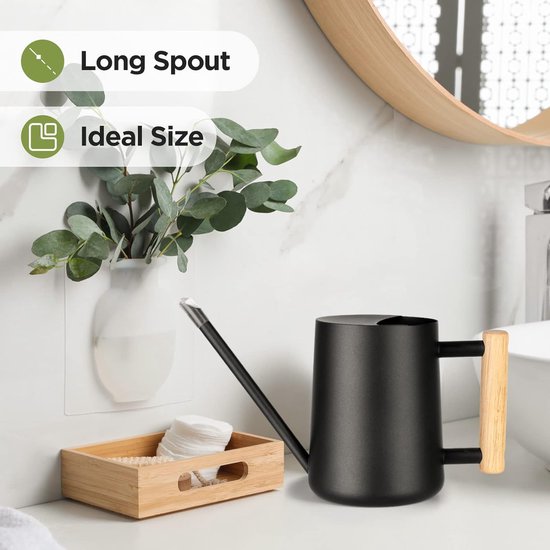 Arrosoir Intérieur 1L Blanc – Acier Inoxydable Bec Long 16,4 Cm + Poignée Bois, Pour Plantes, Succulentes & Fleurs