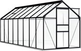 The Living Store Tuinkas Aluminium Polycarbonaat - 190 x 490 x 132/202 cm - 9.31 m² - 15.548 m³