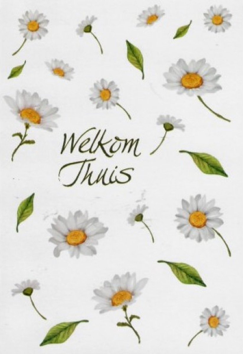 Welkom thuis! Een vrolijke kaart met een afbeelding van diverse madeliefjes. Een leuke kaart om te geven aan iemand die weer thuis komt. Een dubbele wenskaart inclusief envelop en in folie verpakt.
