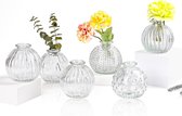 Vazen kleine glazen vazen - kleine tafeldecoratie 6-delig / set helder verschillende vormen, vazen bruiloft tafeldecoratie mini kleine vazen voor tafeldecoratie kleine vazen voor thuis, evenementen tafel, 5#